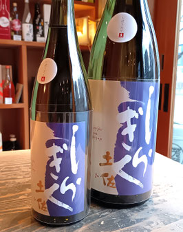 土佐しらきく　純米大吟醸しぼりたて生酒　朝日