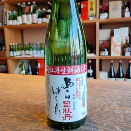 司牡丹　純米酒　生鮮酒＜冬＞あらばしり