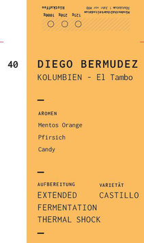 Diego Bermudez