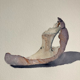 Broken Moon Shell Snail I