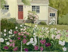 Peonies