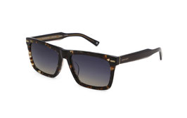 DAPS114-04