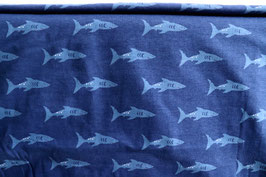 Haie, blau, Jersey