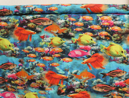 Digitaldruck Fische, bunt, Jersey