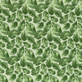"Jade", Blätter, BWJ
