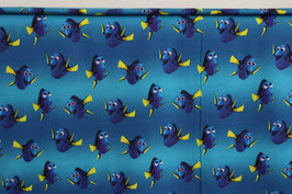 Jersey, Findet Nemo!, Dori