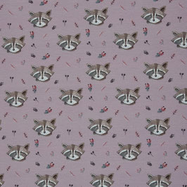 Waschbär, rosé, FT