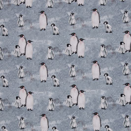 Pinguine, FT