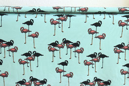 Flamingos, mint, Jersey
