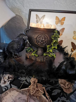 Chaudron de sorcière lierre