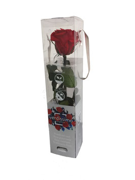 Infinity Rose 30cm - eine echte, konservierte Rose, die nicht verblüht.