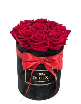 Magic Deluxe Samt Rosenbox - Infinity Rosen