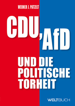 CDU, AfD und die politische Torheit