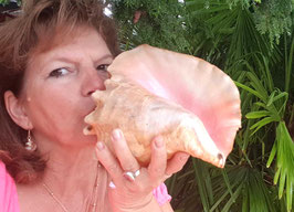 Blasmuschel Pink Conch  Strombus gigas / 20cm / 24cm
