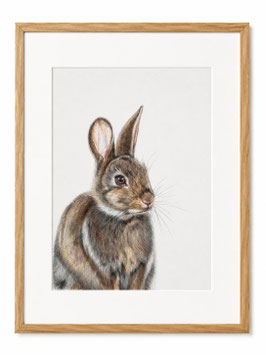 "Kaninchen"