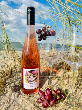 Süßes Kätzchen, Rosé