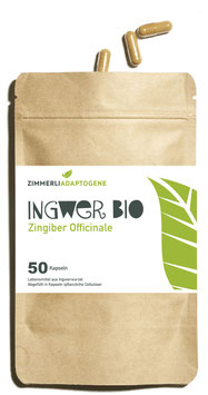 Ingwer Kapseln (BIO)
