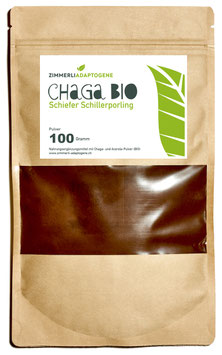 Chaga Pulver (BIO)