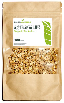Astragalus