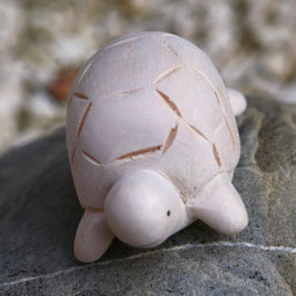La petite tortue