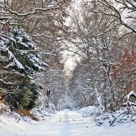 Zugweg