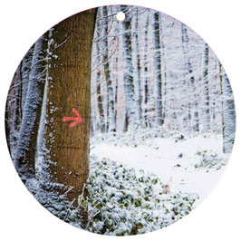 Pfeil im Schnee