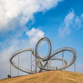 Tiger and turtle