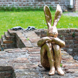 Goldhase