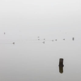 Nebel