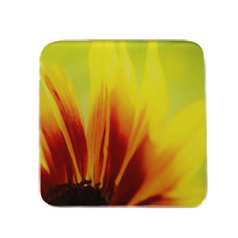 Blume 11
