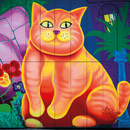 Katze