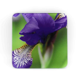 Blume 04