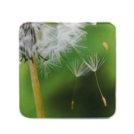 Blume 07