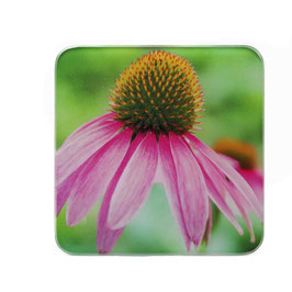 Blume 03