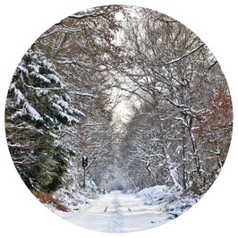 Gleise im Schnee