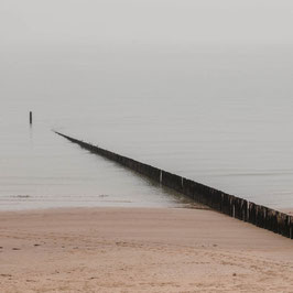 Pfähle im Nebel