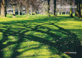 Baumschatten