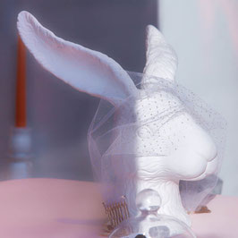 eleganter Hase