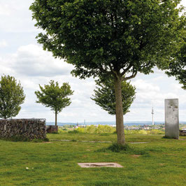 Halde Tippelsberg