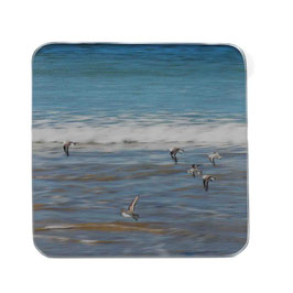 Meer 04