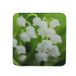 Blume 02