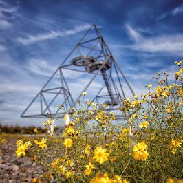 Tetraeder