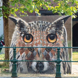 Eule/Wolf