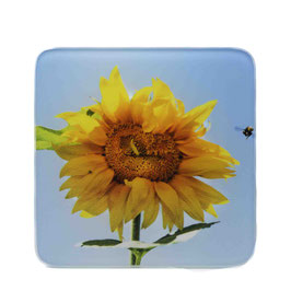 Blume 01