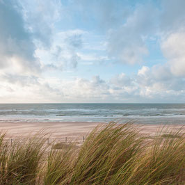 Strandhafer