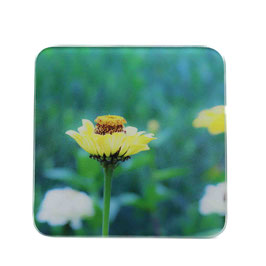 Blume 12
