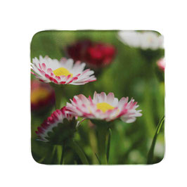 Blume 09