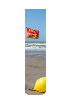 Life Guard