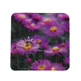 Blume 10