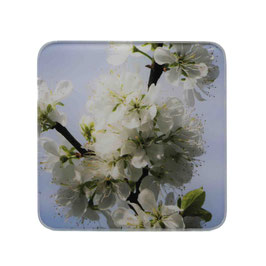 Blume 06